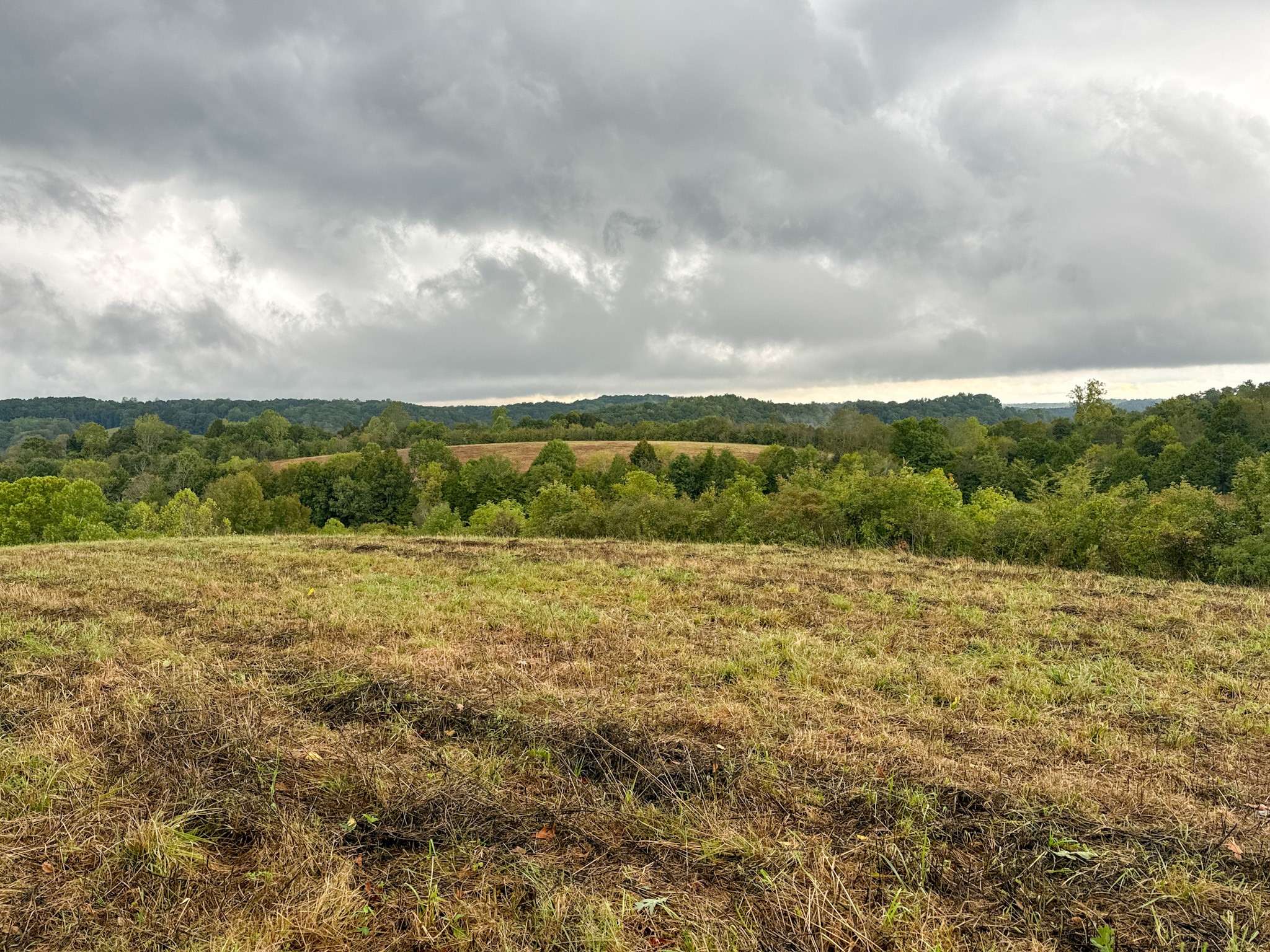 0 Knob Creek Road Westpoint, TN 38486 - Photo 21 of 57