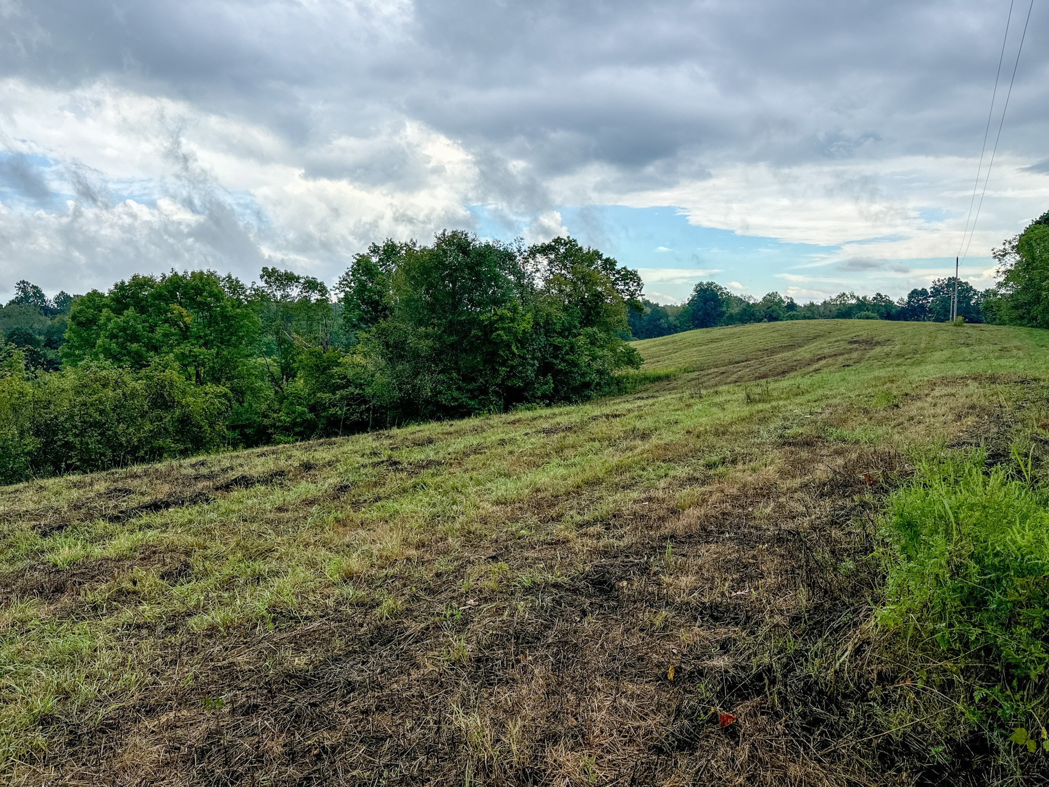 0 Knob Creek Road Westpoint, TN 38486 - Photo 23 of 57