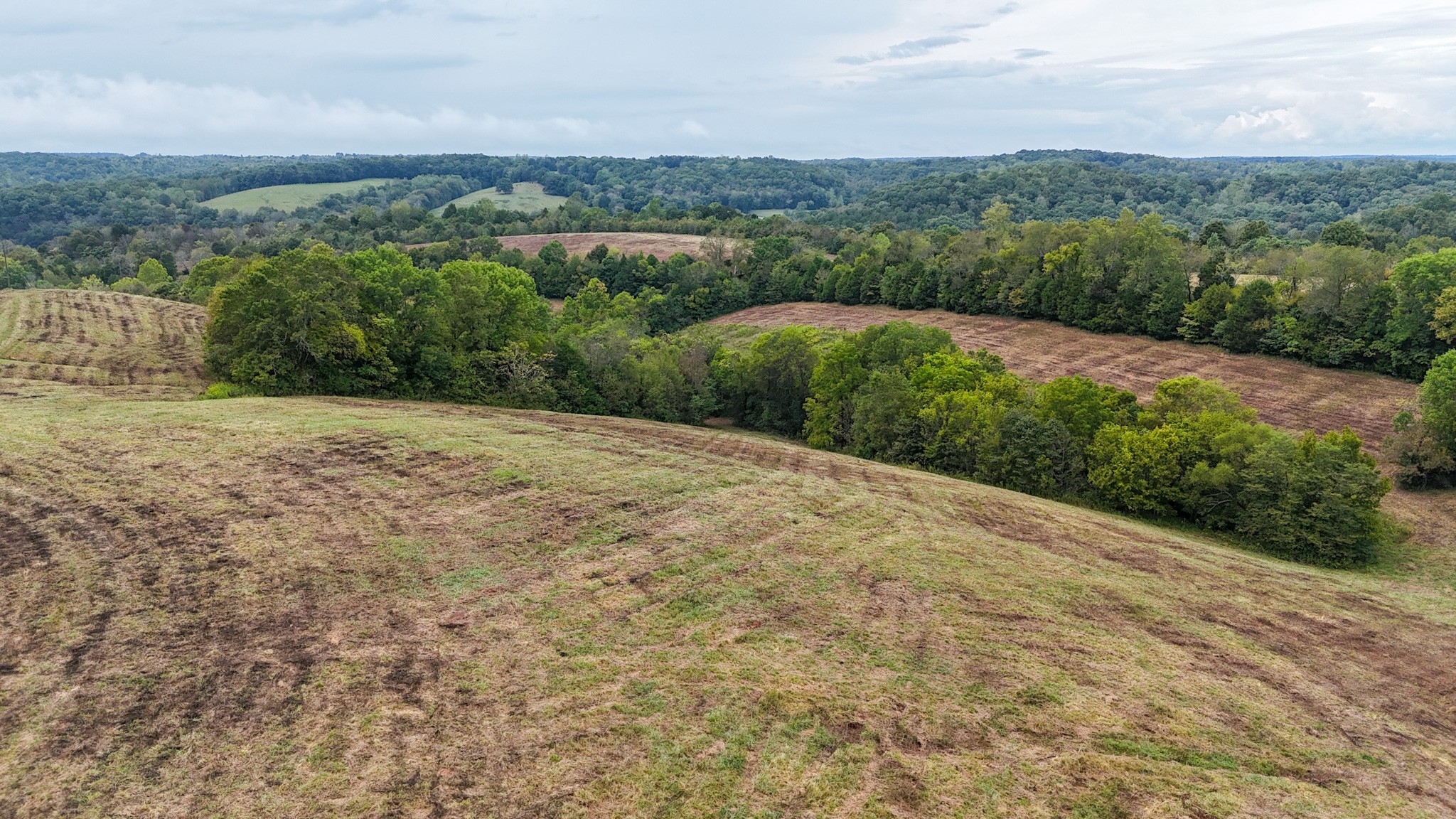 0 Knob Creek Road Westpoint, TN 38486 - Photo 24 of 57