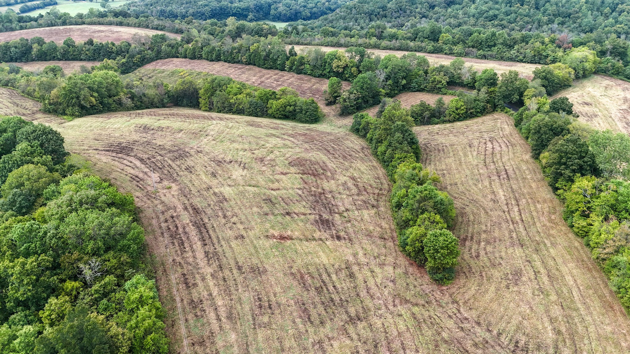 0 Knob Creek Road Westpoint, TN 38486 - Photo 25 of 57