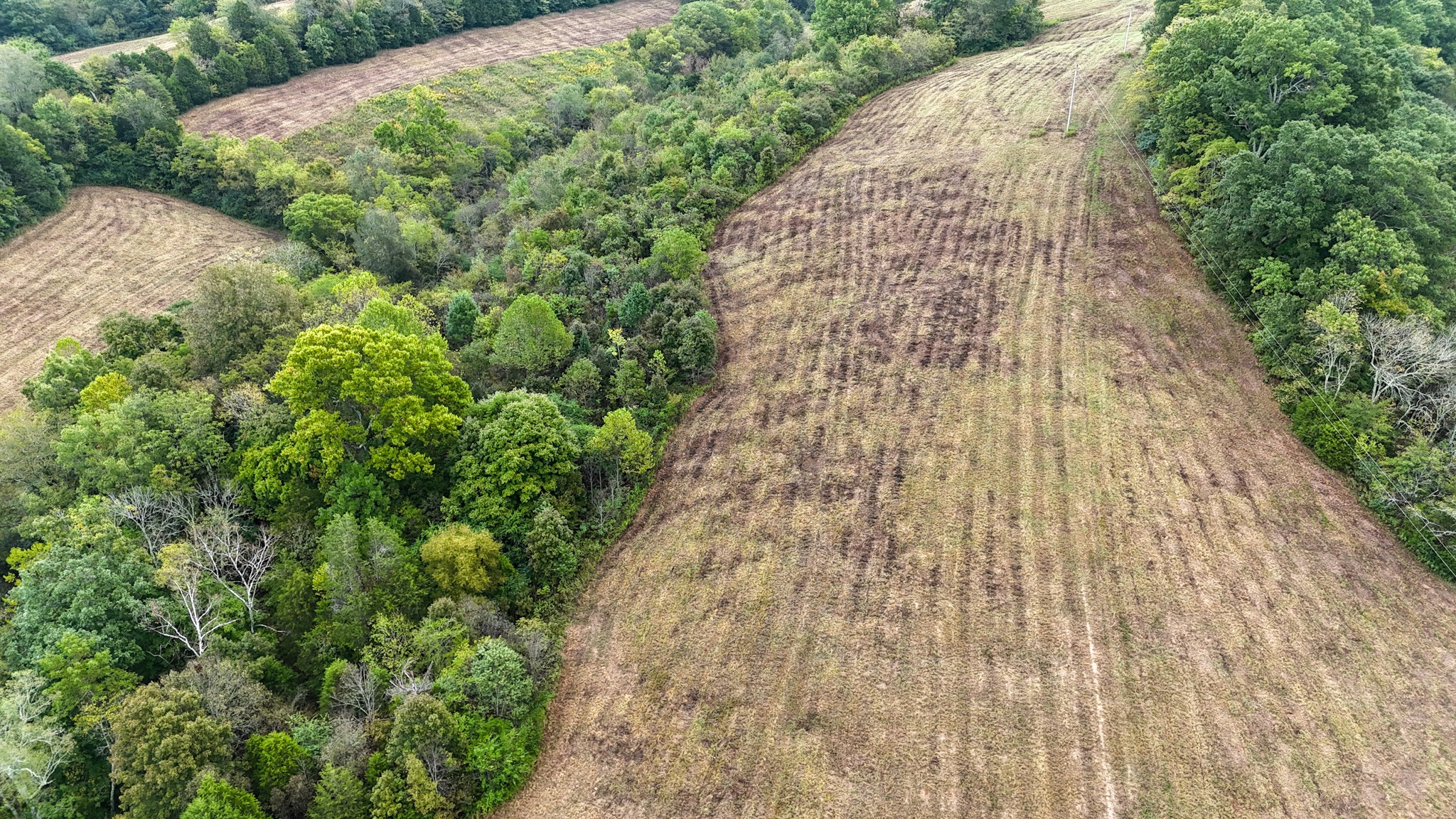 0 Knob Creek Road Westpoint, TN 38486 - Photo 27 of 57