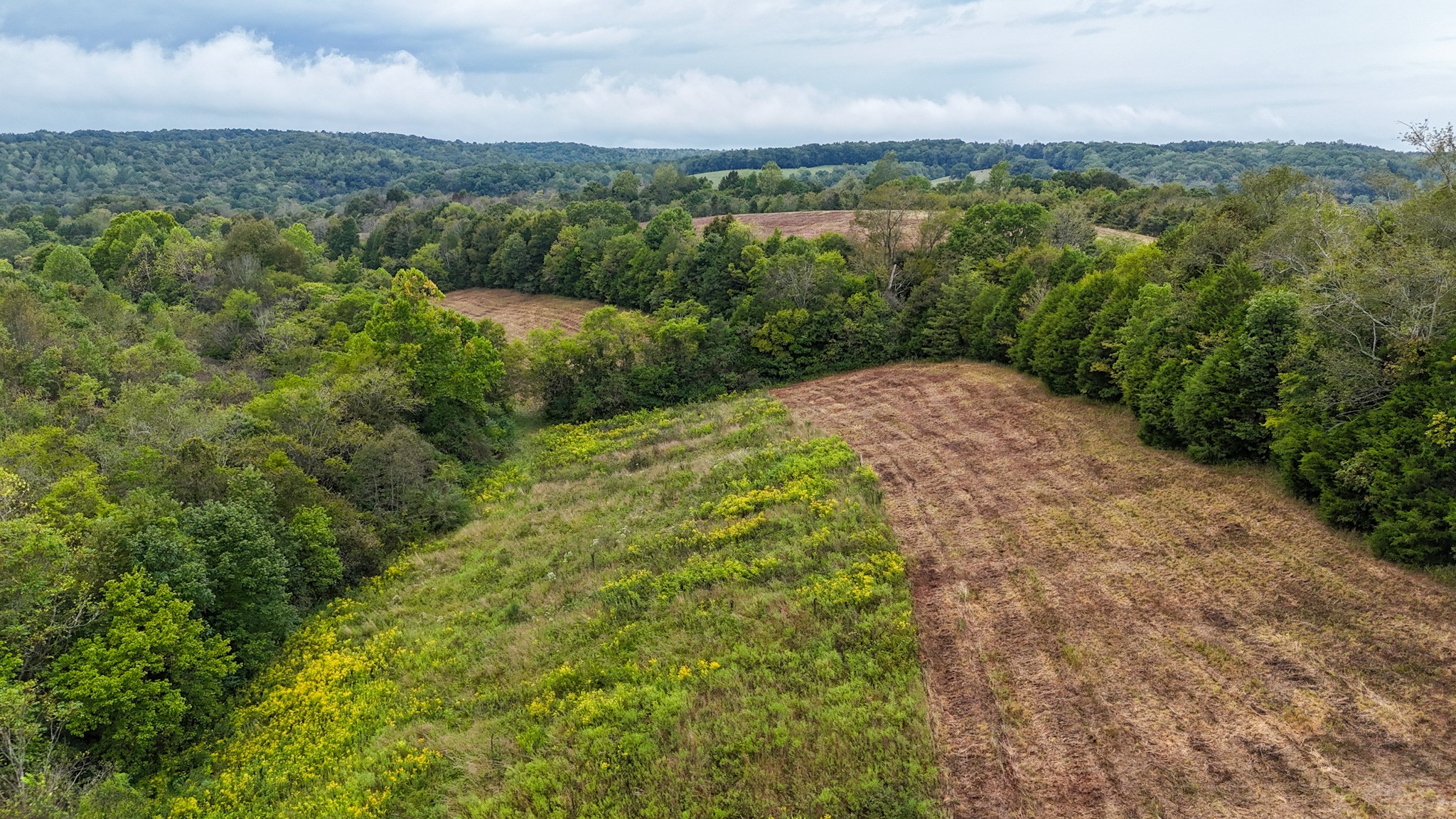 0 Knob Creek Road Westpoint, TN 38486 - Photo 28 of 57