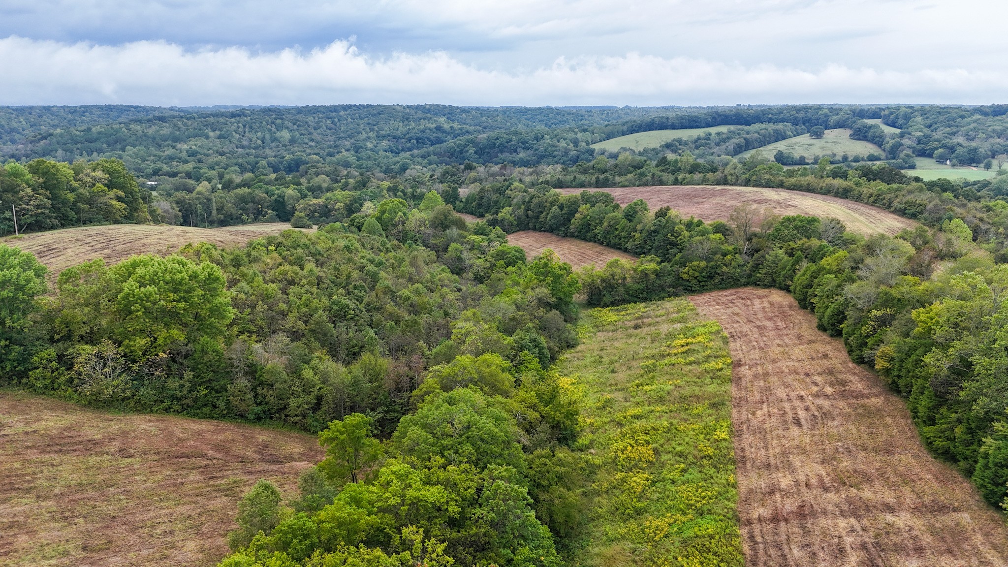 0 Knob Creek Road Westpoint, TN 38486 - Photo 33 of 57