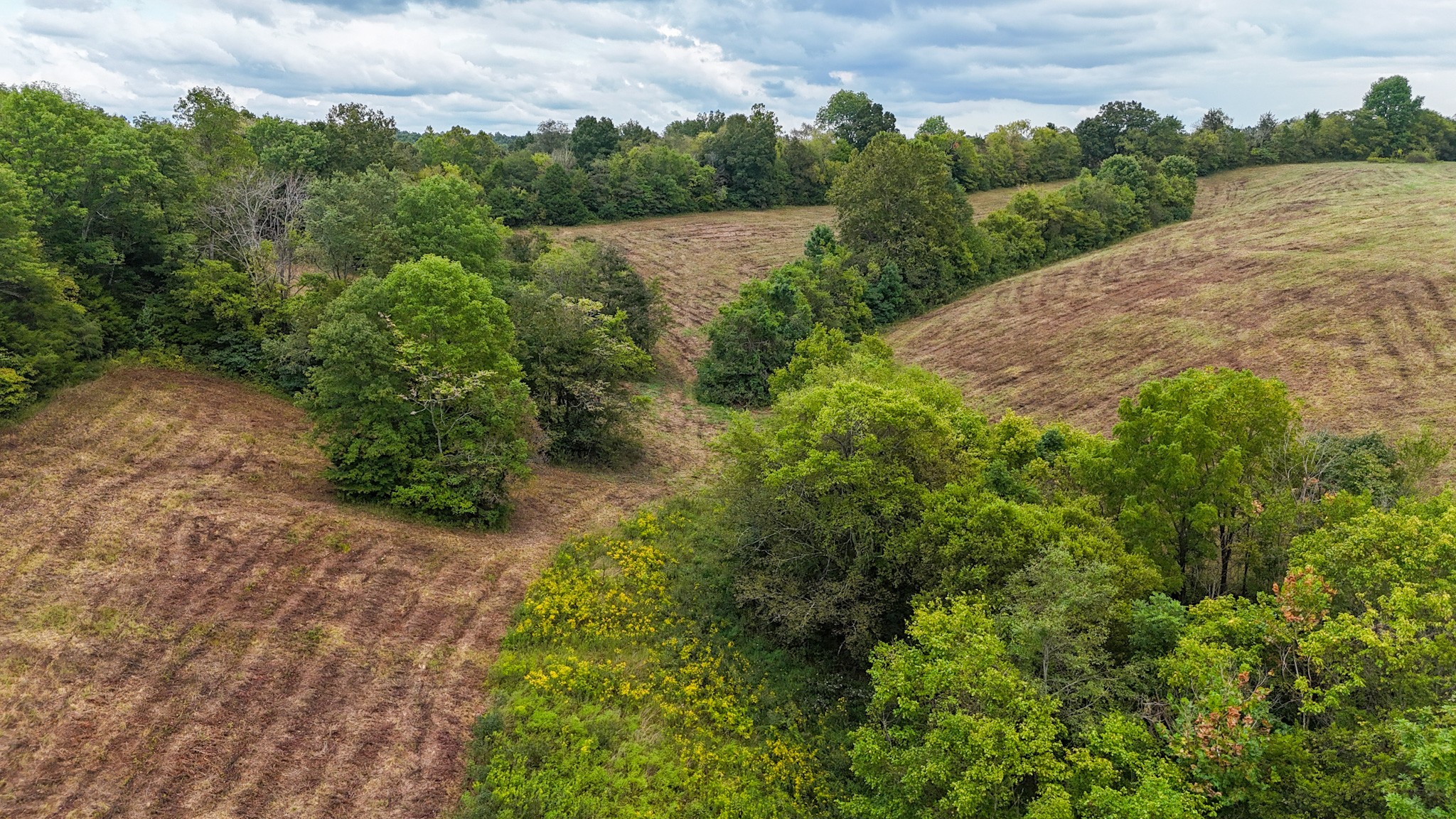 0 Knob Creek Road Westpoint, TN 38486 - Photo 34 of 57