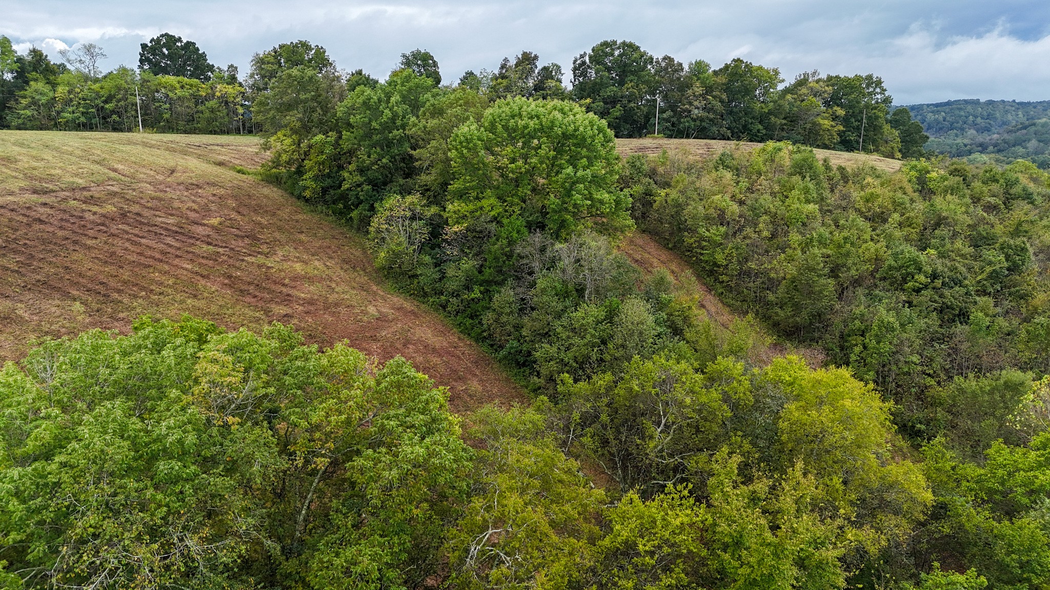 0 Knob Creek Road Westpoint, TN 38486 - Photo 36 of 57