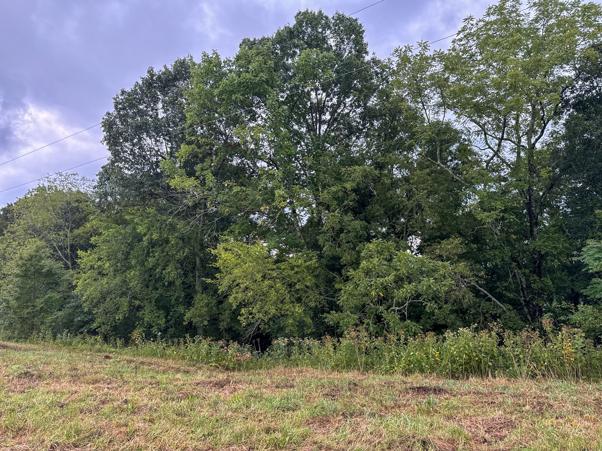 0 Knob Creek Road Westpoint, TN 38486 - Photo 38 of 57