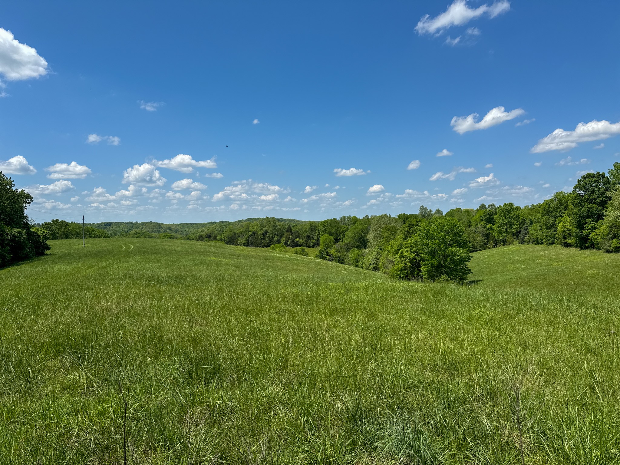 0 Knob Creek Road Westpoint, TN 38486 - Photo 4 of 57