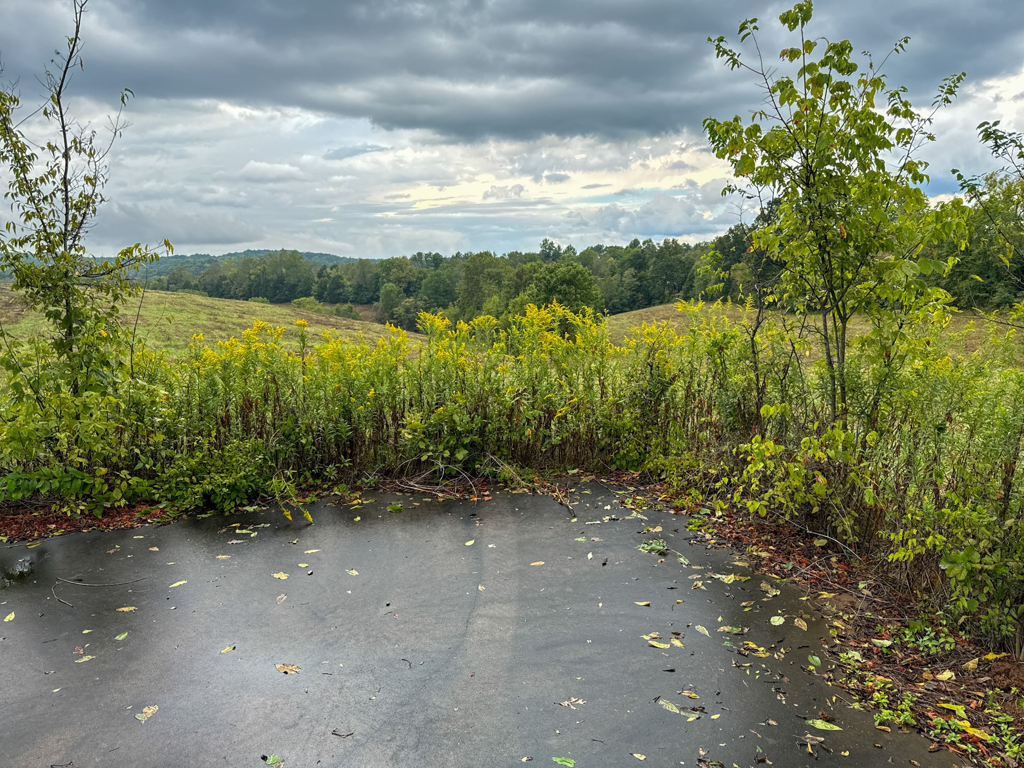 0 Knob Creek Road Westpoint, TN 38486 - Photo 42 of 57