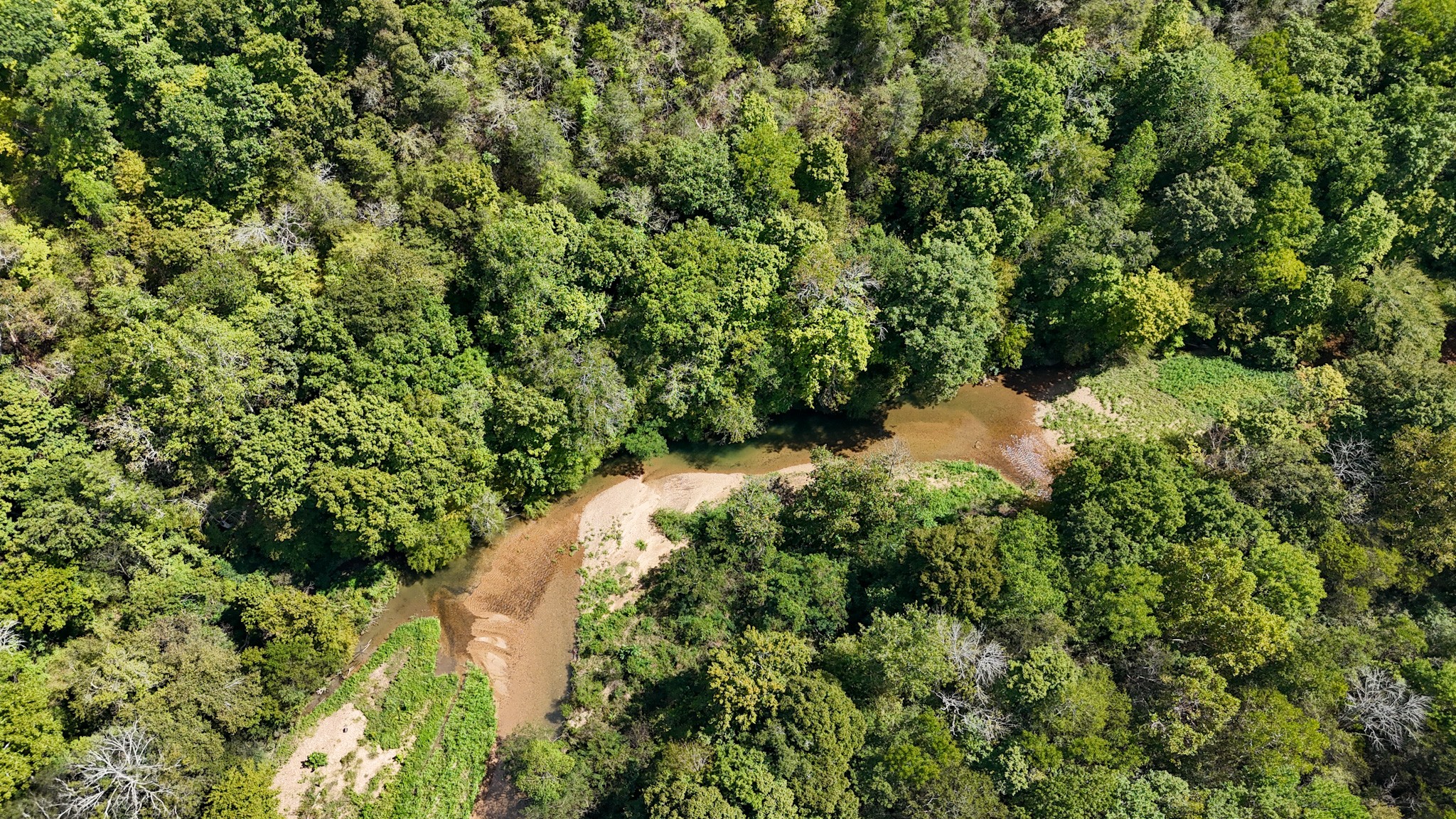 0 Knob Creek Road Westpoint, TN 38486 - Photo 45 of 57