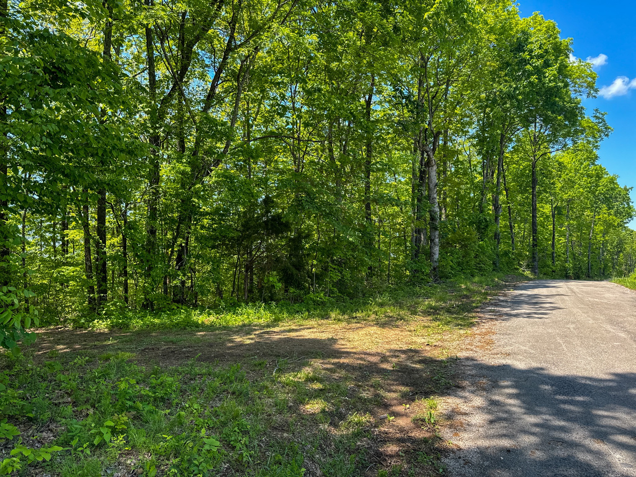 0 Knob Creek Road Westpoint, TN 38486 - Photo 47 of 57