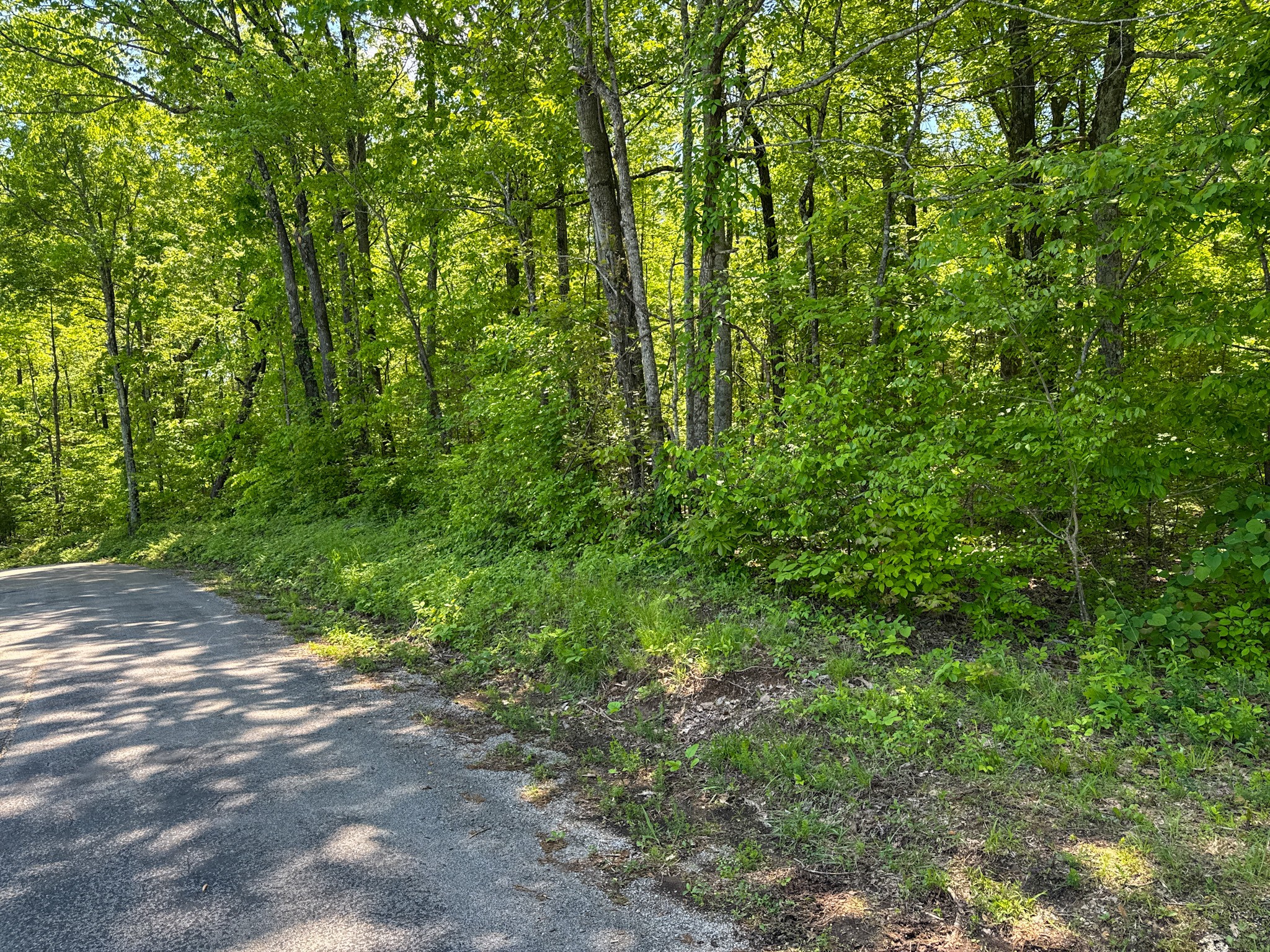 0 Knob Creek Road Westpoint, TN 38486 - Photo 48 of 57