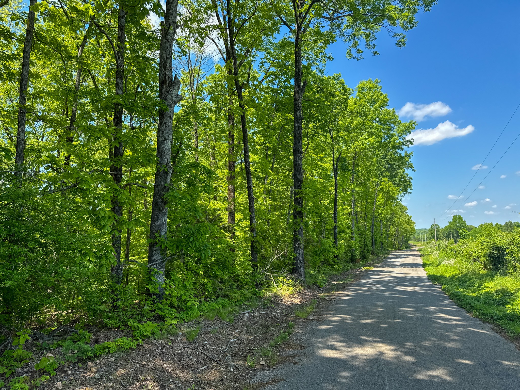 0 Knob Creek Road Westpoint, TN 38486 - Photo 49 of 57