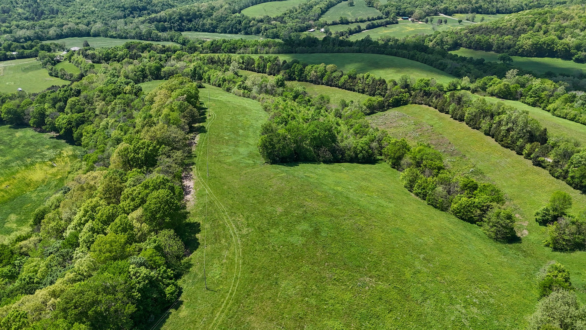 0 Knob Creek Road Westpoint, TN 38486 - Photo 5 of 57