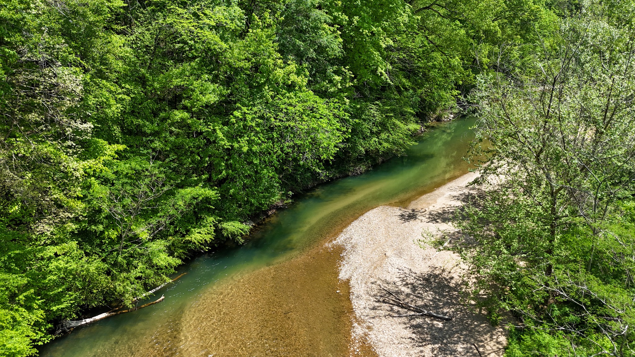 0 Knob Creek Road Westpoint, TN 38486 - Photo 51 of 57