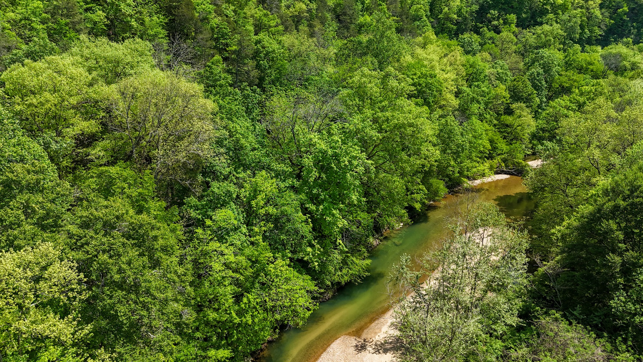 0 Knob Creek Road Westpoint, TN 38486 - Photo 52 of 57