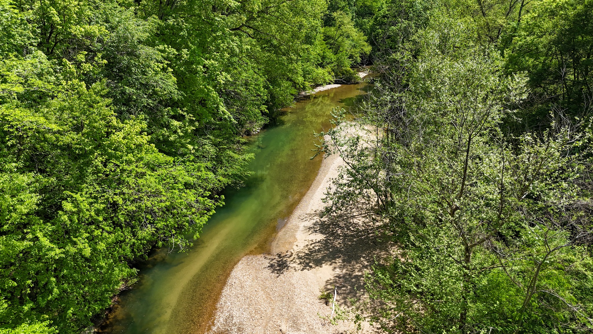 0 Knob Creek Road Westpoint, TN 38486 - Photo 53 of 57