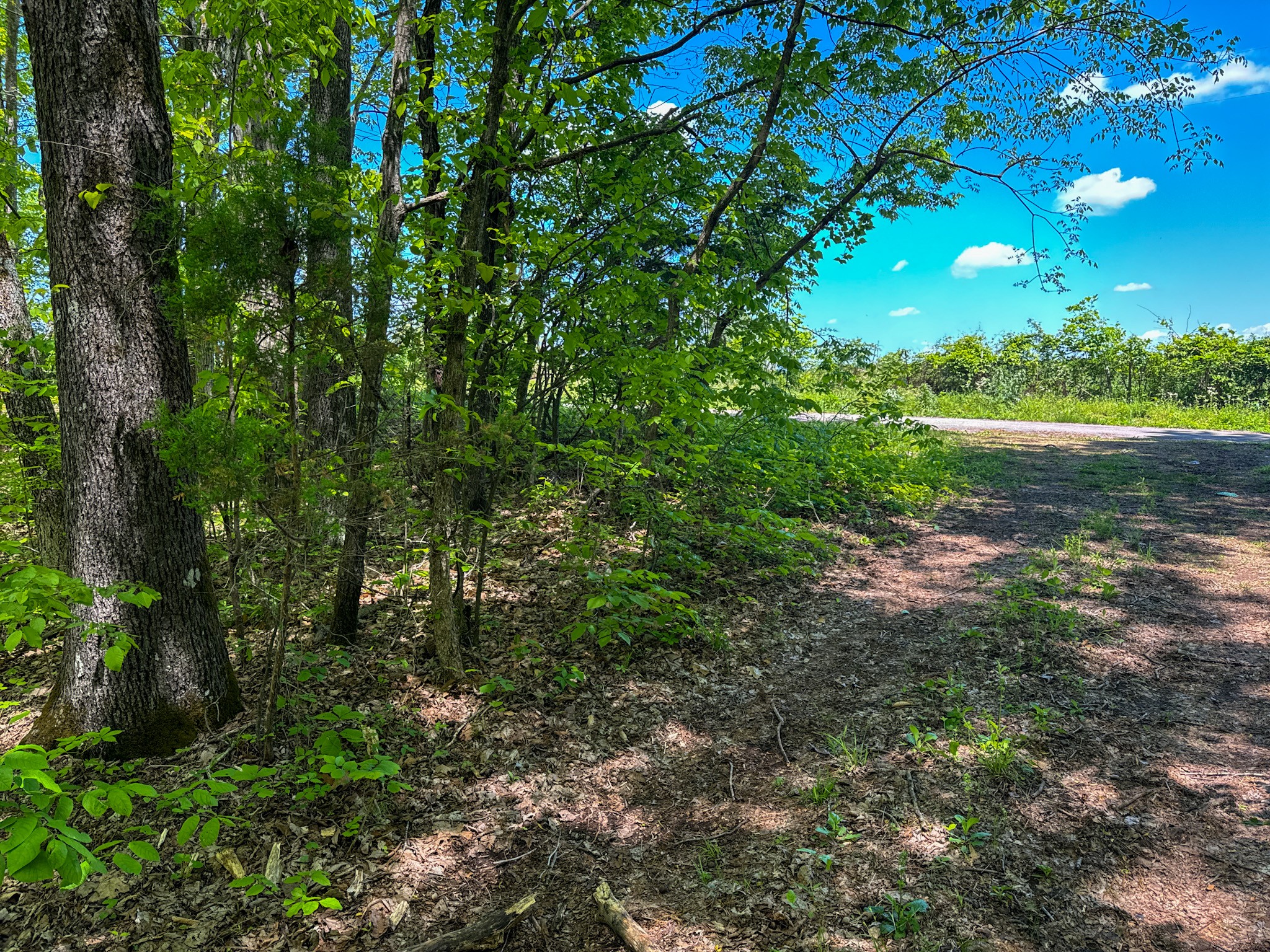 0 Knob Creek Road Westpoint, TN 38486 - Photo 54 of 57