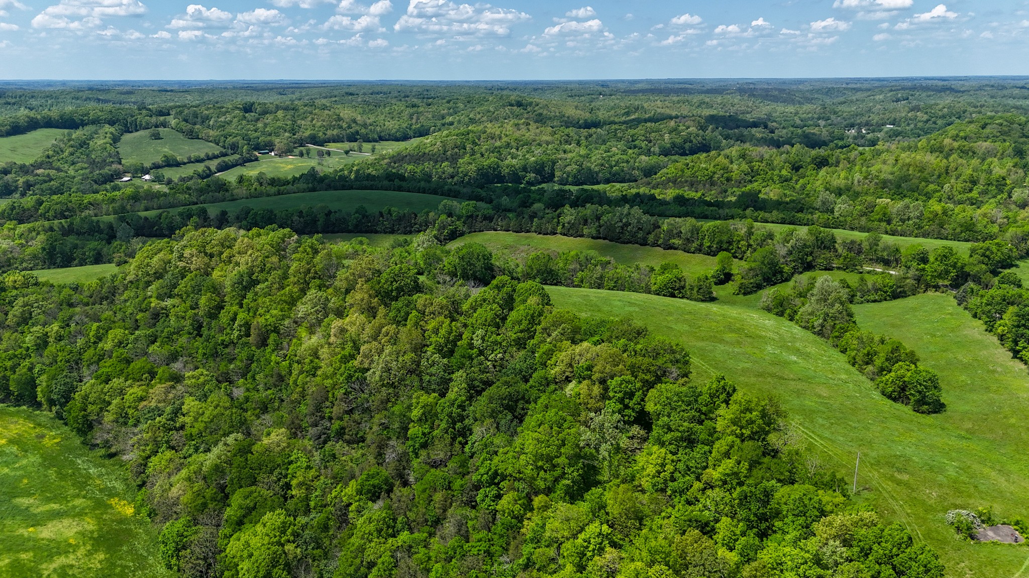 0 Knob Creek Road Westpoint, TN 38486 - Photo 8 of 57