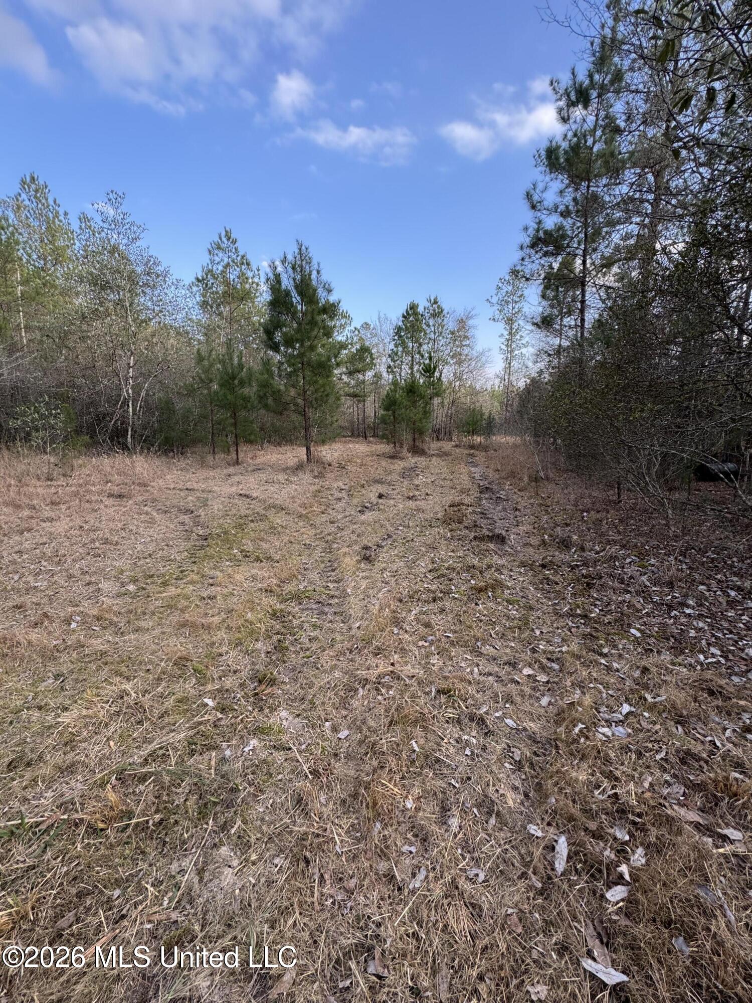 42 Mississippi State Line, MS 39362 - Photo 17 of 87 Photo Feb 13 2026, 4 30 07 PM
