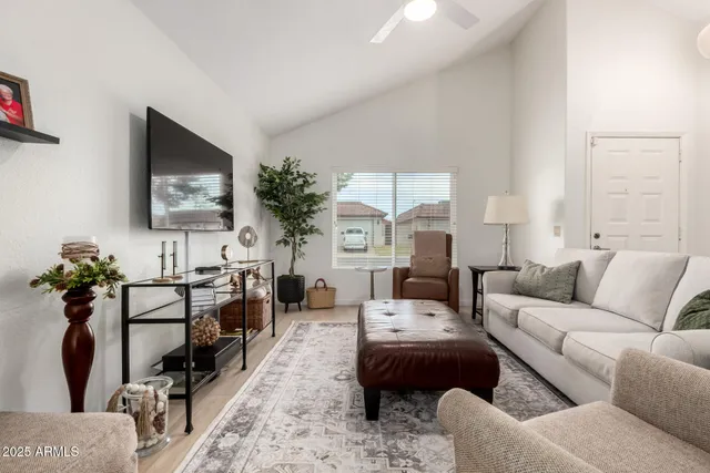 a living room with furniture a flat screen tv and a potted plant