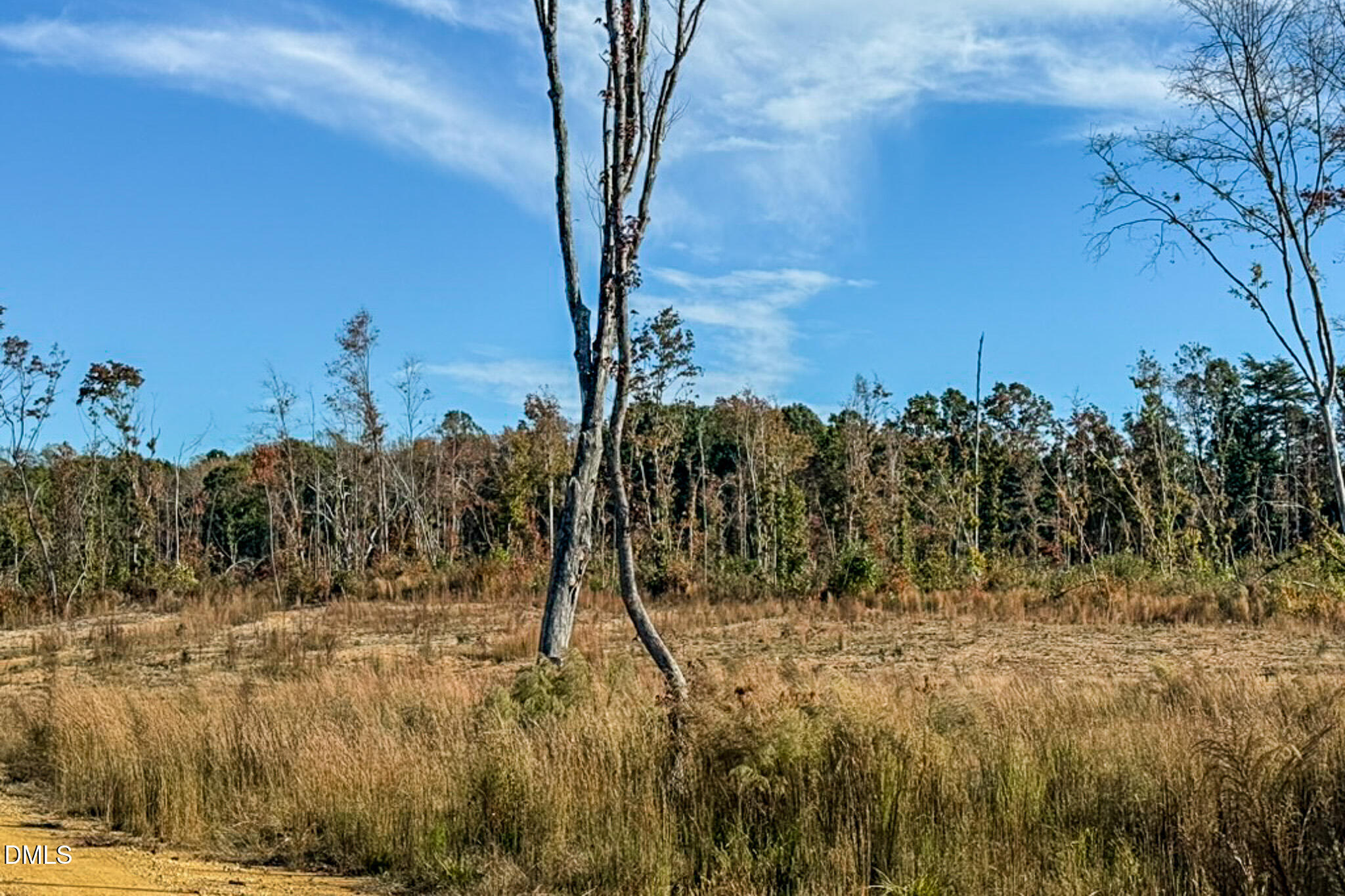 26.51 Country Club Road Roxboro, NC 27574 - Photo 15 of 18 D7715835-EEA9-43DF-88C1-63274AF8914B_1_1