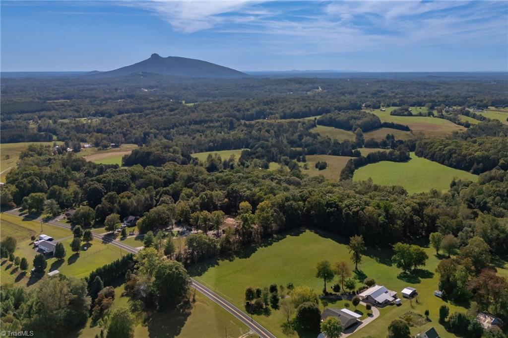 1520 Brims Grove Road Pinnacle, NC 27043 - Photo 4 of 49