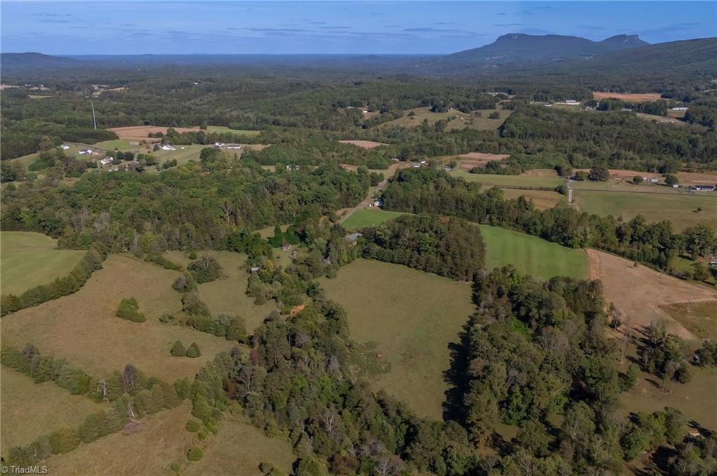 1520 Brims Grove Road Pinnacle, NC 27043 - Photo 41 of 49