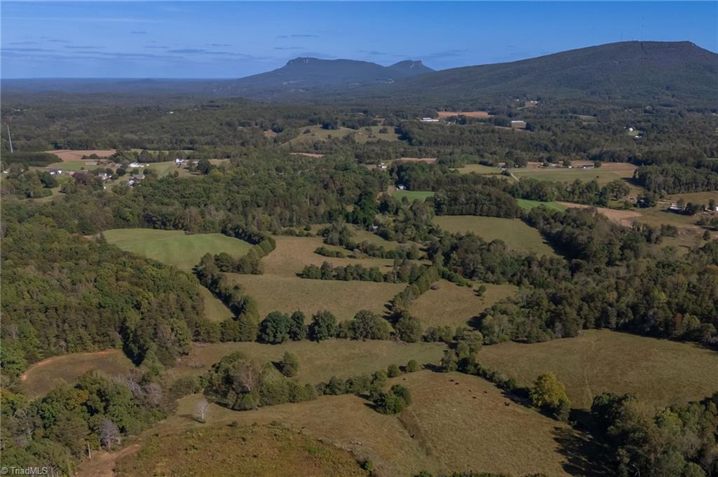 1520 Brims Grove Road Pinnacle, NC 27043 - Photo 43 of 49