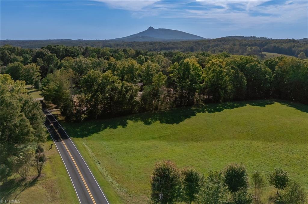 1520 Brims Grove Road Pinnacle, NC 27043 - Photo 48 of 49