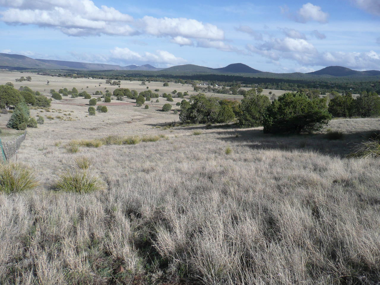 478 Rolling Hills Road Young, AZ 85554 - Photo 13 of 20