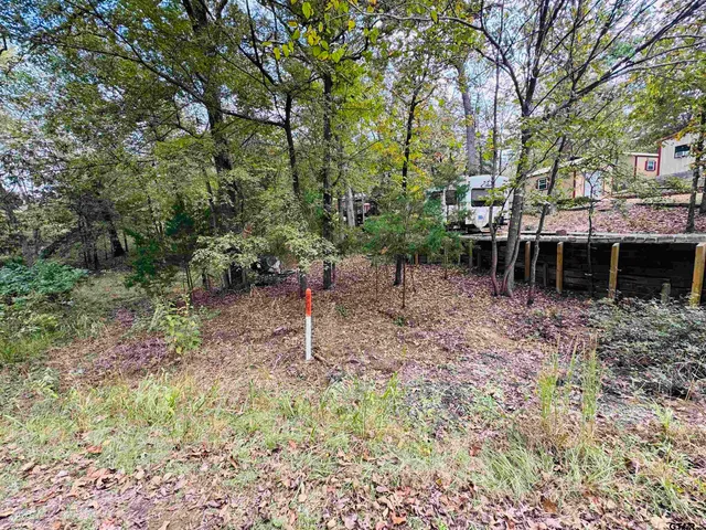 a view of house with a backyard