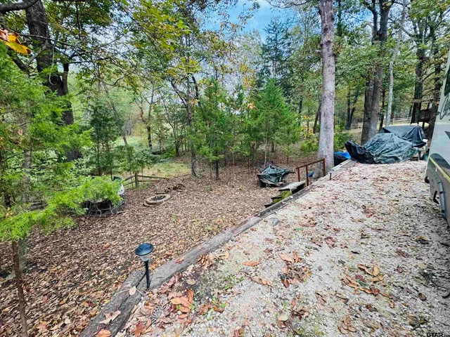 a view of a backyard with a tree