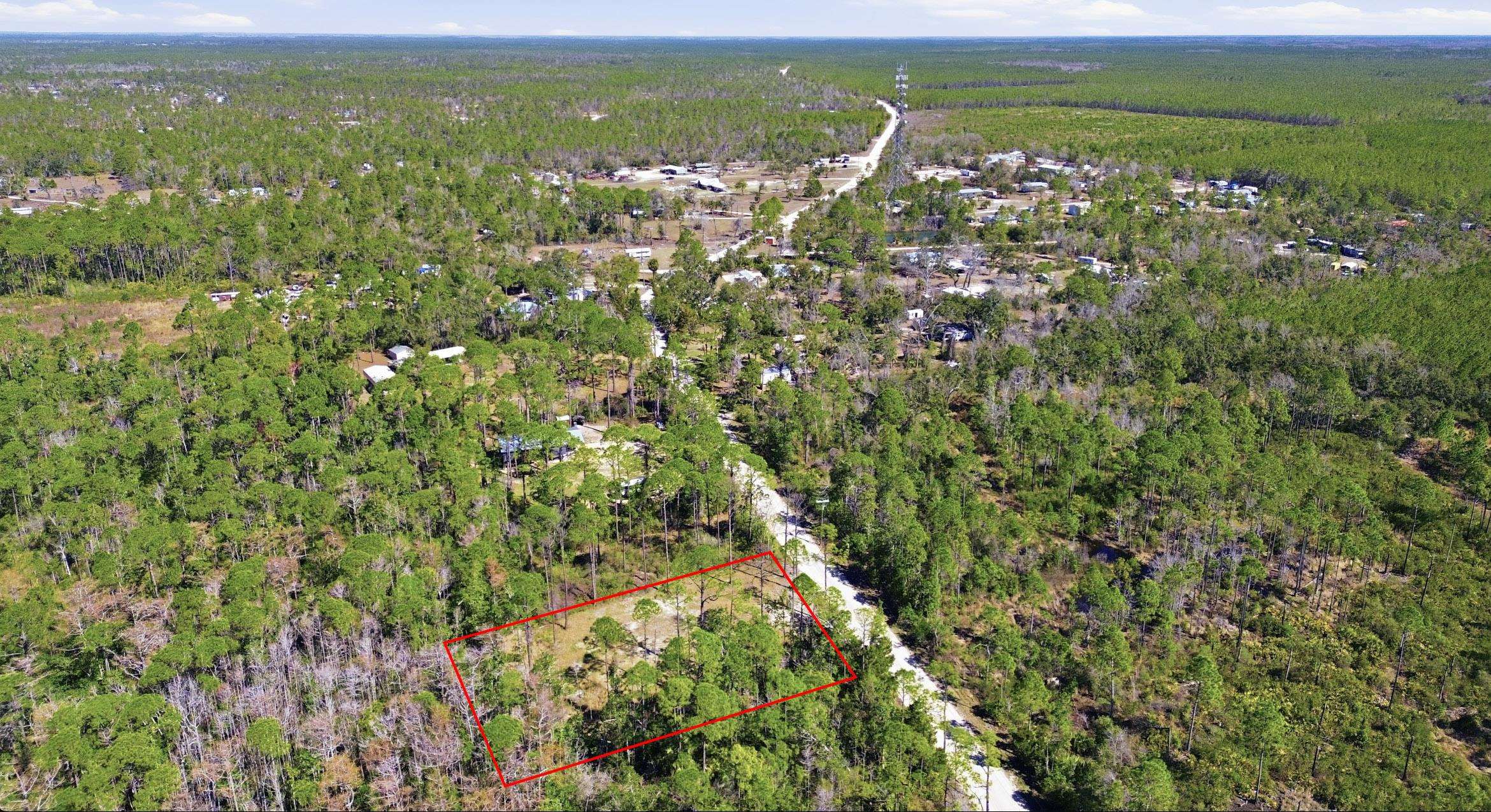 Tbd Jody Morgan Road Perry, FL 32348 - Photo 11 of 26