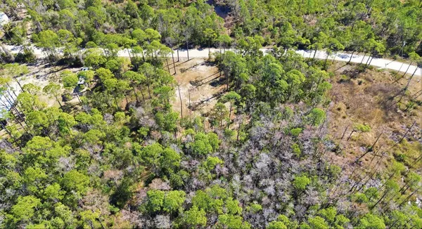$49,500 | Tbd Jody Morgan Road, Perry, FL 32348