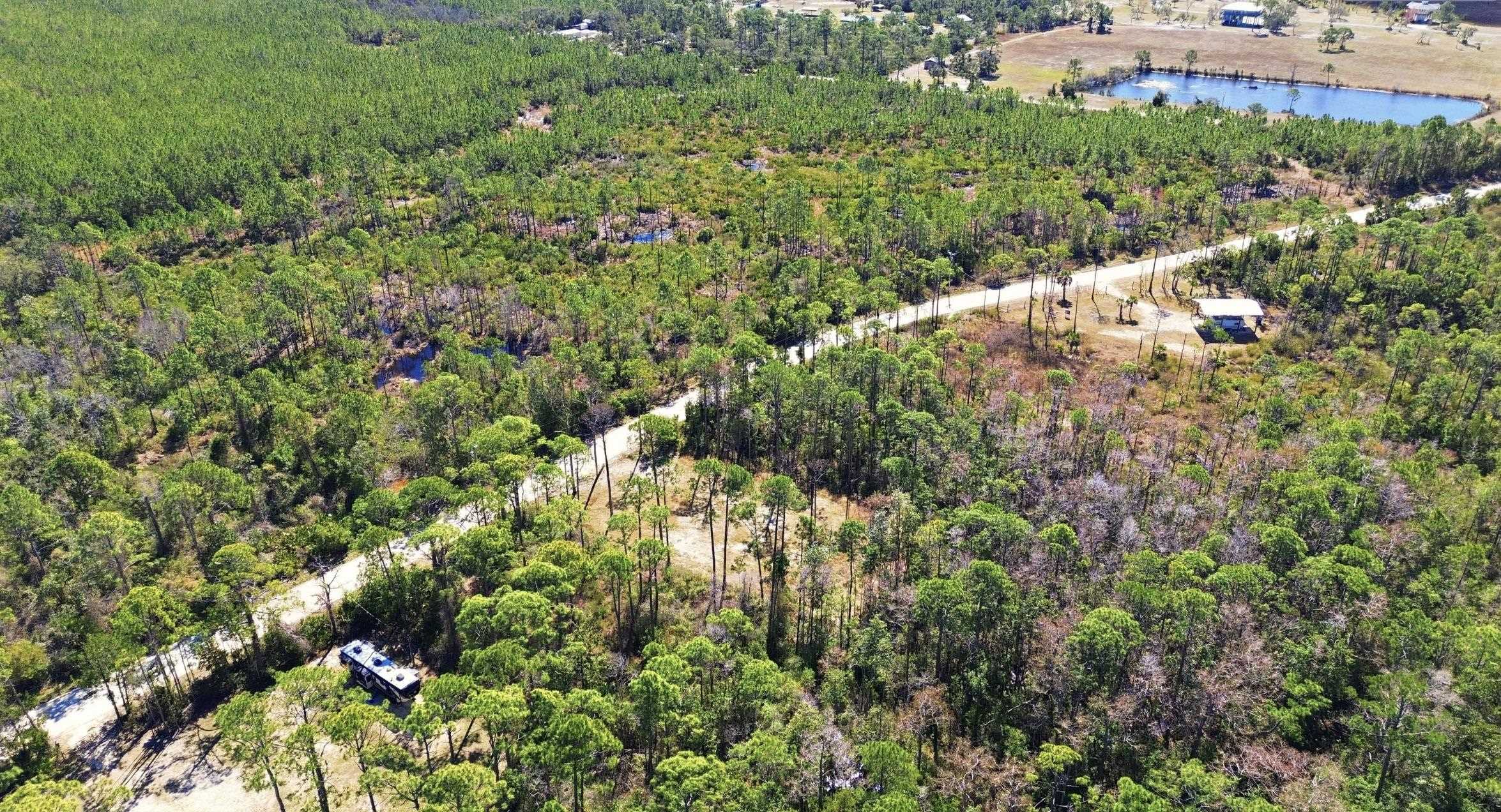 Tbd Jody Morgan Road Perry, FL 32348 - Photo 13 of 26