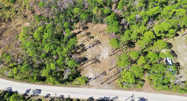 $49,500 | Tbd Jody Morgan Road, Perry, FL 32348