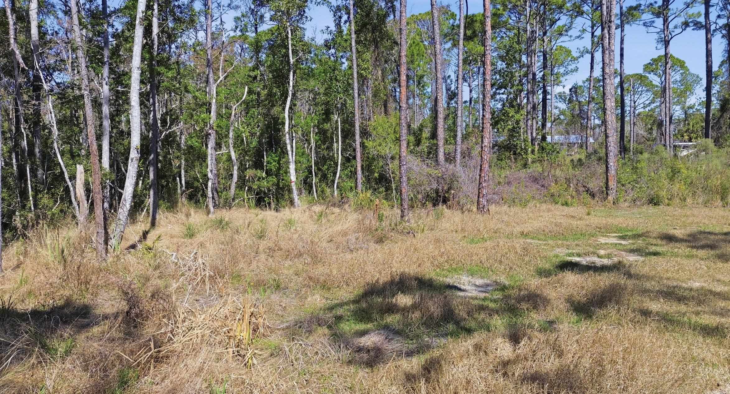 Tbd Jody Morgan Road Perry, FL 32348 - Photo 22 of 26