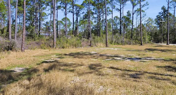 $49,500 | Tbd Jody Morgan Road, Perry, FL 32348