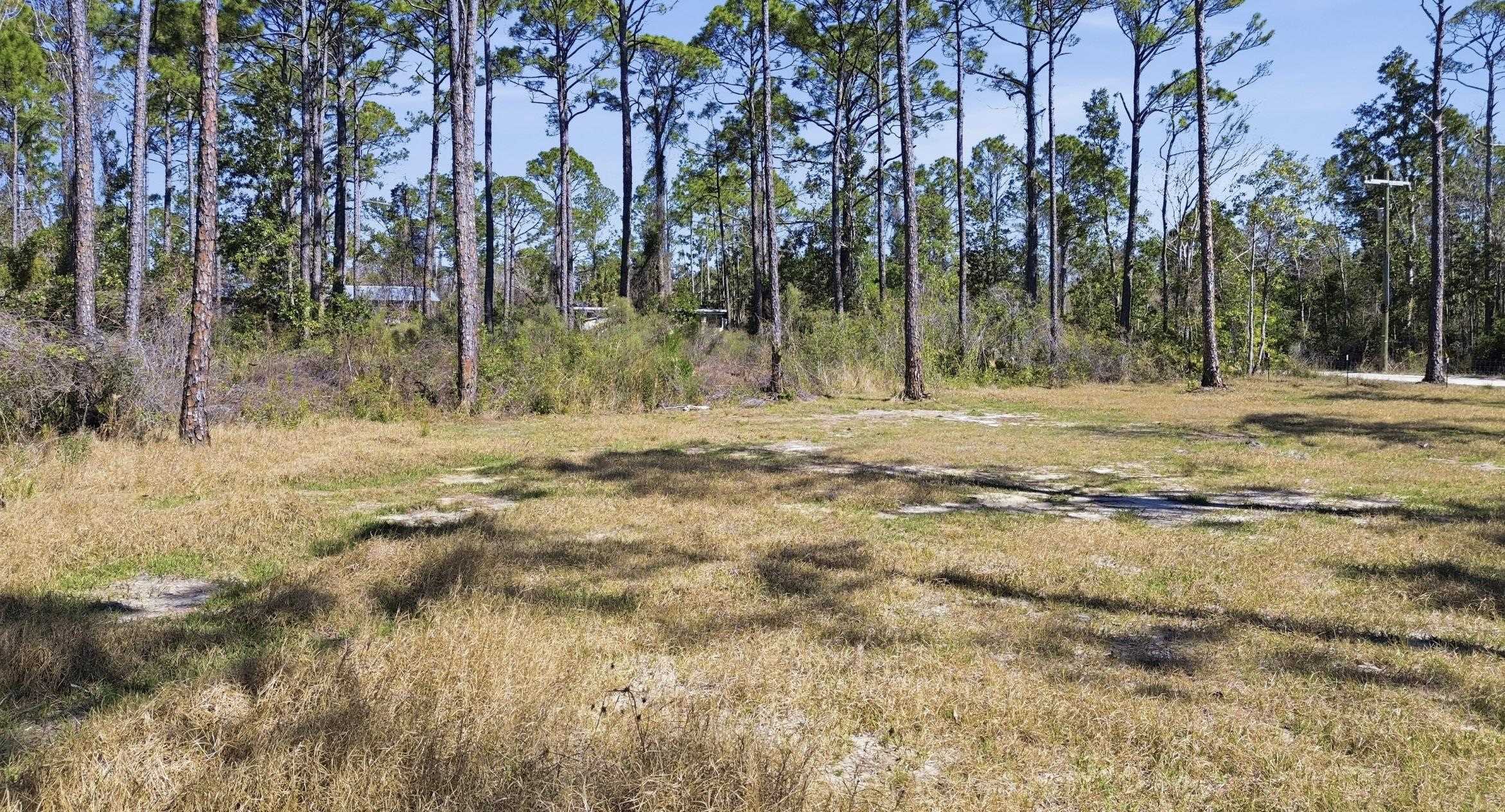 Tbd Jody Morgan Road Perry, FL 32348 - Photo 23 of 26