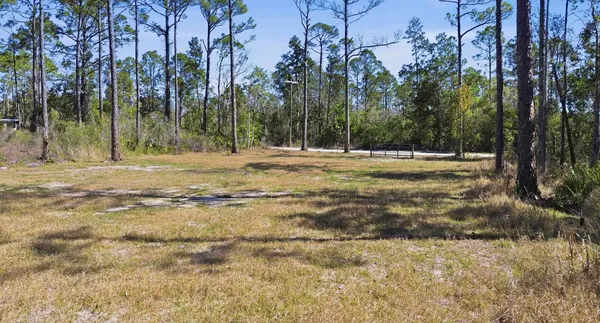 $49,500 | Tbd Jody Morgan Road, Perry, FL 32348