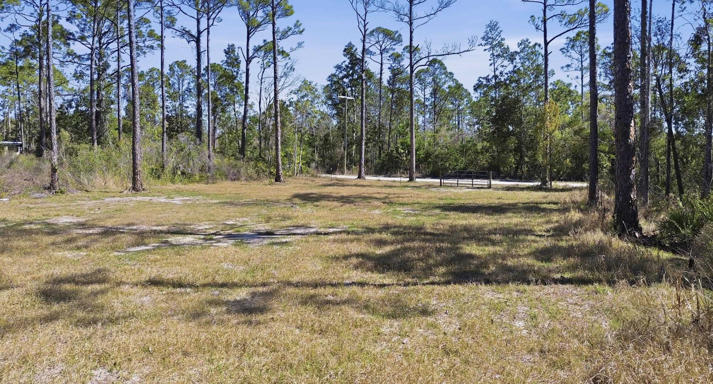 Tbd Jody Morgan Road Perry, FL 32348 - Photo 24 of 26