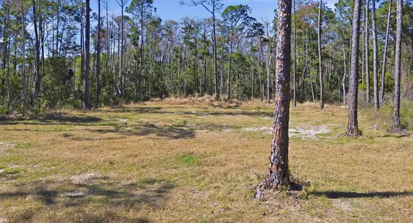 $49,500 | Tbd Jody Morgan Road, Perry, FL 32348