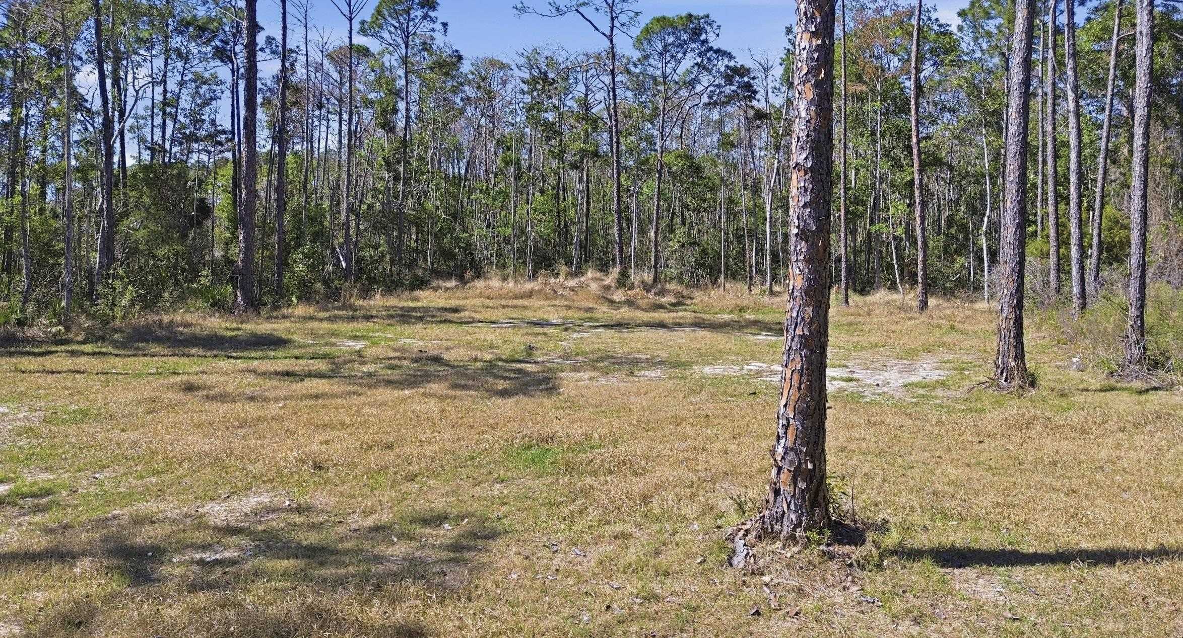 Tbd Jody Morgan Road Perry, FL 32348 - Photo 25 of 26