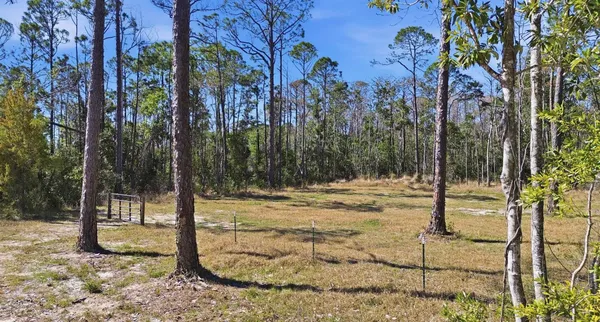 $49,500 | Tbd Jody Morgan Road, Perry, FL 32348