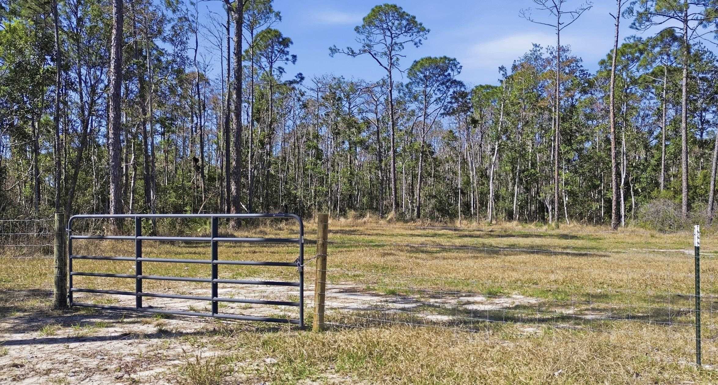 Tbd Jody Morgan Road Perry, FL 32348 - Photo 3 of 26