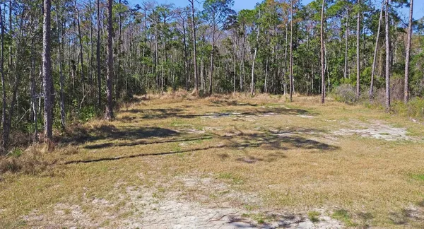 $49,500 | Tbd Jody Morgan Road, Perry, FL 32348