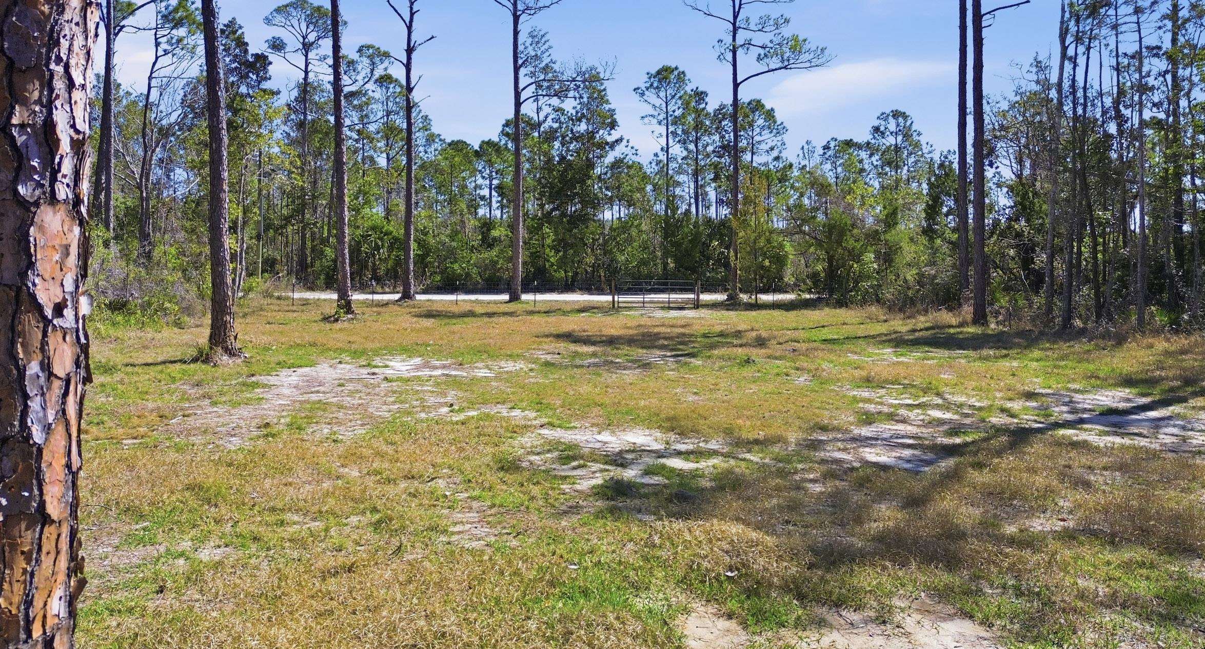 Tbd Jody Morgan Road Perry, FL 32348 - Photo 5 of 26