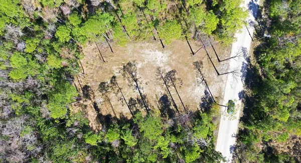 $49,500 | Tbd Jody Morgan Road, Perry, FL 32348
