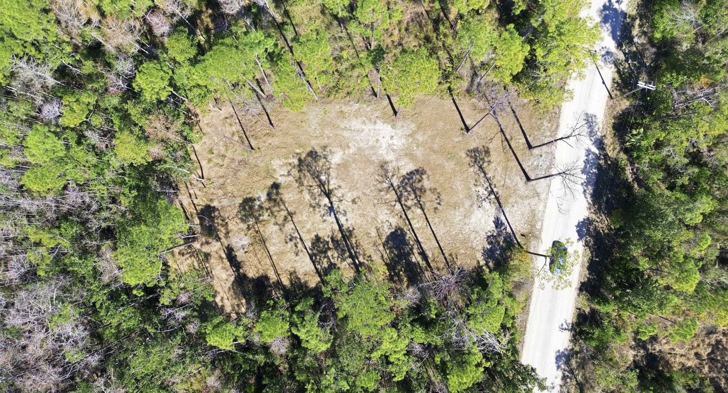 Tbd Jody Morgan Road Perry, FL 32348 - Photo 6 of 26