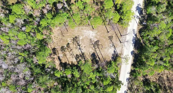 $49,500 | Tbd Jody Morgan Road, Perry, FL 32348
